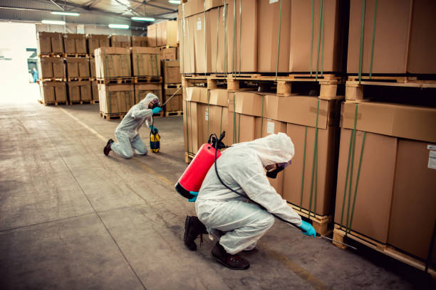 Best Pest Control for Homes  in Hornell, NY