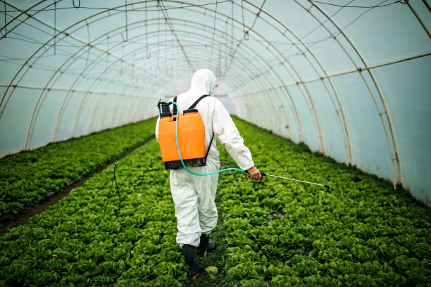 Best Affordable Pest Control Services  in Hornell, NY