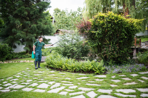 Best Residential Pest Control  in Hornell, NY