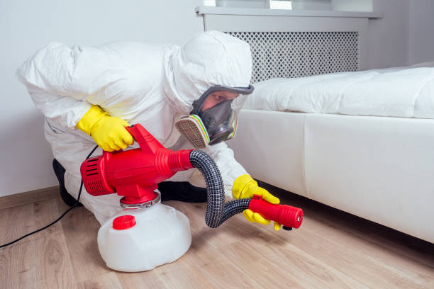 Best Best Pest Control Companies  in Hornell, NY