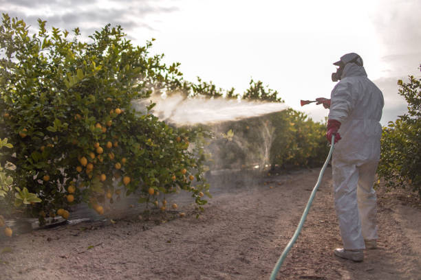 Best Best Pest Control Companies  in Hornell, NY