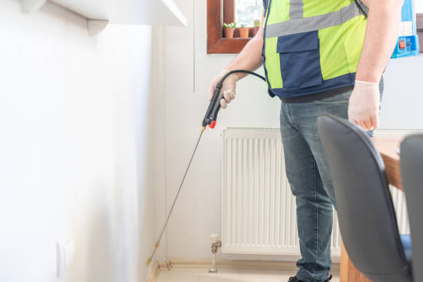 Best Pest Control for Businesses  in Hornell, NY
