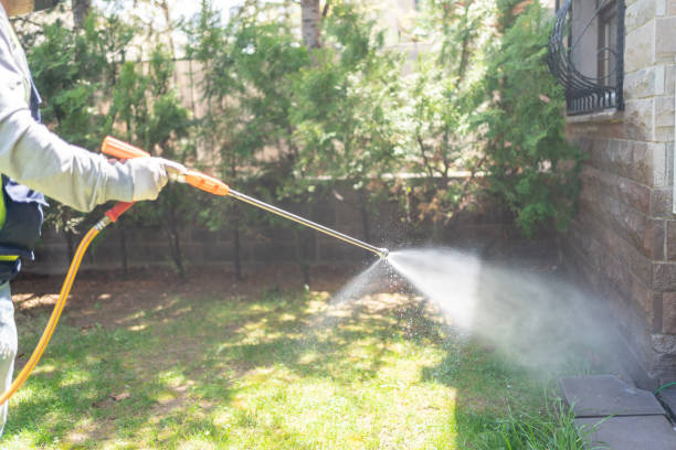 Best Bird Control  in Hornell, NY