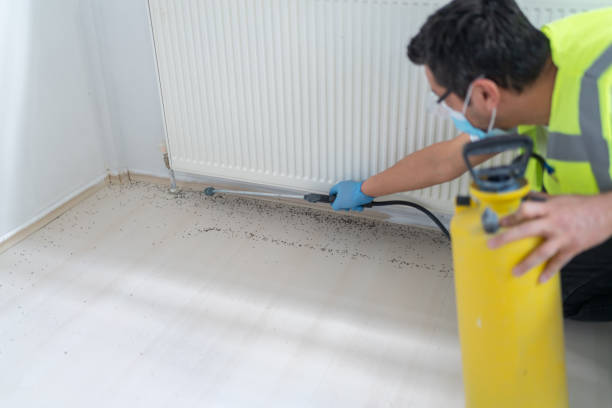 Best Pest Removal Services  in Hornell, NY